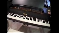 Young muscian Lynn gets pussy licked and ass drilled  by expert piano tuner